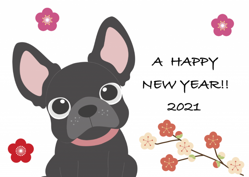 HAPPY NEW YEAR2021②